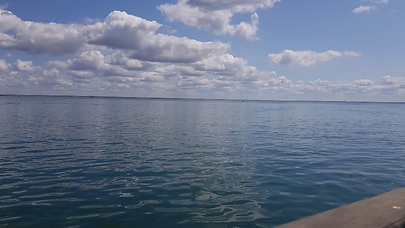 ЯРОВОЕ 2019