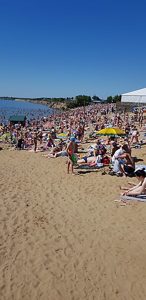 ЯРОВОЕ 2019